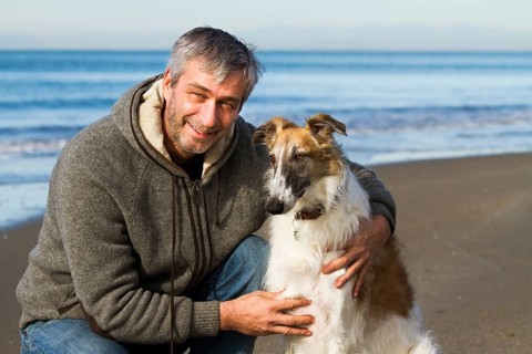 Borzoi or Russian Wolfhound