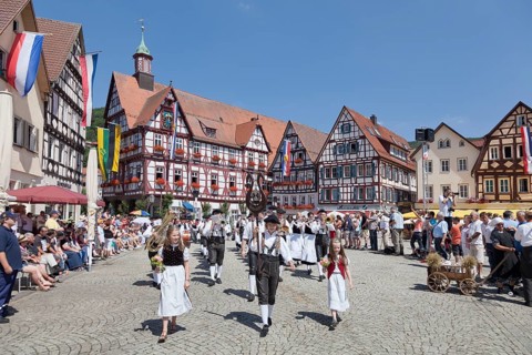 Historical parade