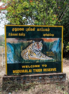 Welcome sign