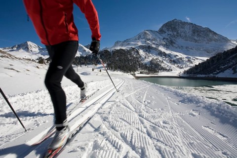 Cross-country skier