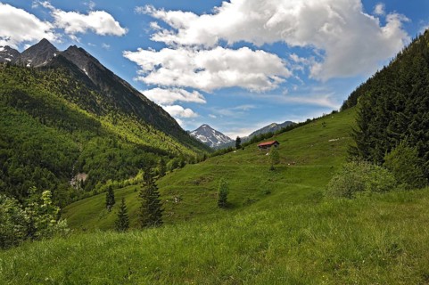 Alpine pasture