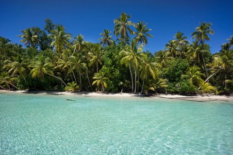 Lagoon with a sandy beach and palm trees