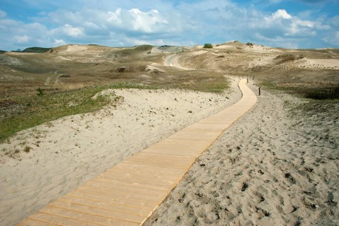 Grey Dunes