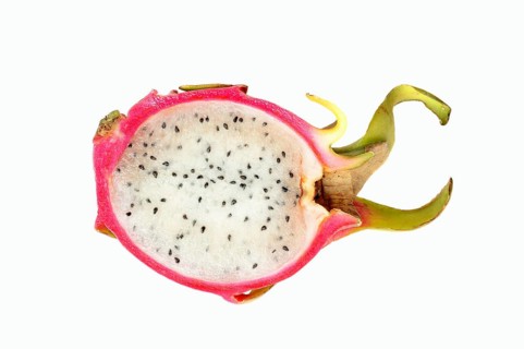 Pitahaya or Dragonfruit (Hylocereus undatus)