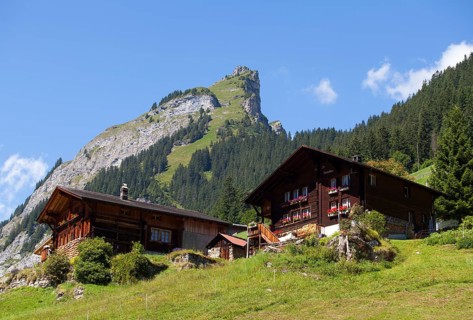 Mountain farms
