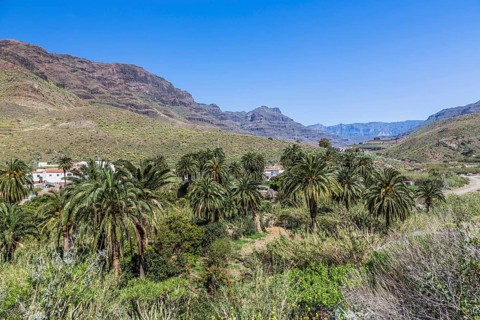 Mountain landscape near Arteara