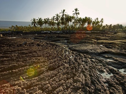 Frozen lava flow with palm trees on the coast of Puuhonua o Honaunau
