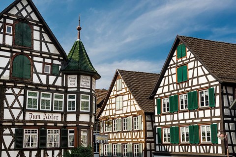 Half-timbered houses