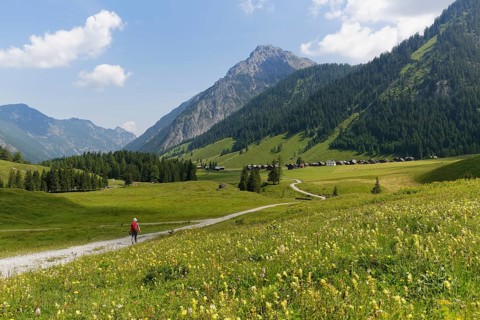 Nenzinger Himmel alpine meadow with Fundelkopf
