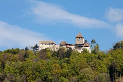 Burg Hohenklingen Castle
