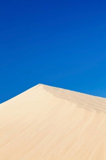 Dune