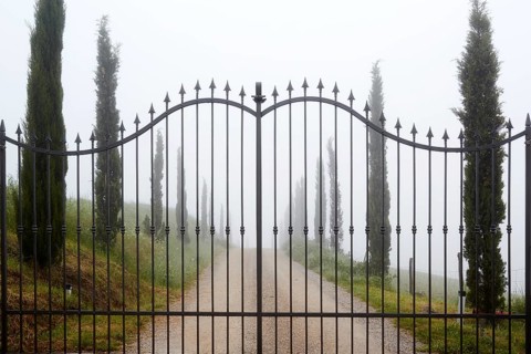 Wrought iron gate in the morning mist