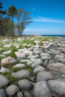 Boulders on the coast
