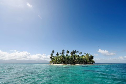 Tropical islands with palm trees