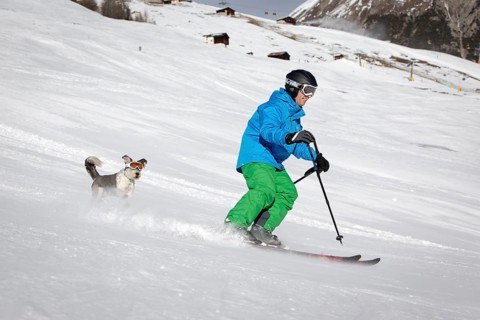 A skier and his dog with snow goggles on a ski slope