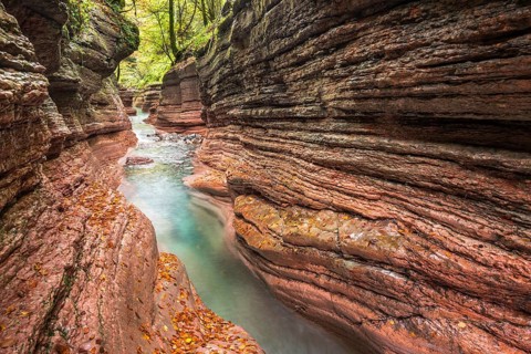 The Taugl river