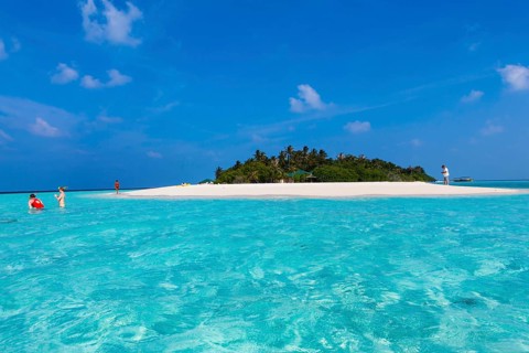 Tourists in the sea