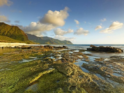 Beach at Ka'ena Point State Park