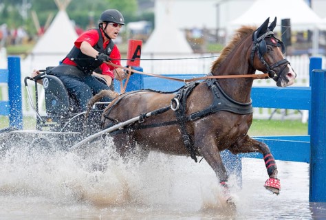 Horse-drawn carriage passing through a water ditch