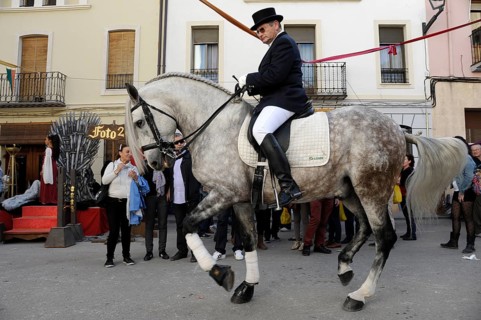 Rider on Andalusian horse at the annual All Saints Market in Cocentaina