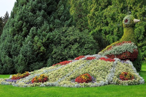 Peacock figur from different flowers