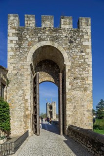 Pont de Besalu bridge