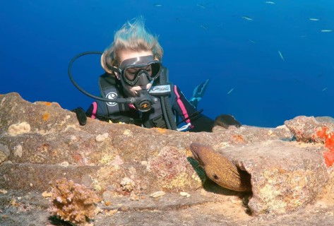 Diver watching a Yellow-Edged Moray (Gymnothorax flavimarginatus) at the shipwreck 'SS Thistlegorm'