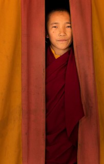 Young monk from Amitabha Monastery