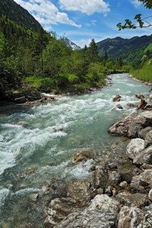 Torrent