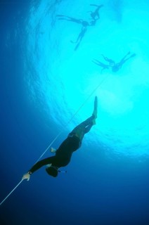Freedivers