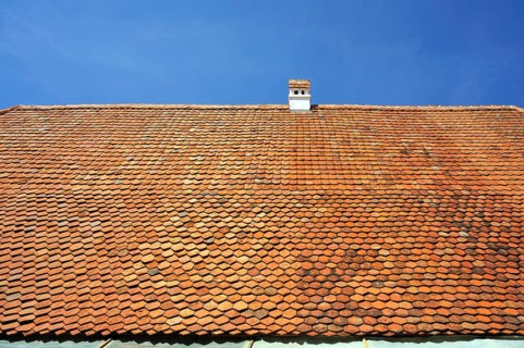 Roof of an old farmhouse with plain tiles