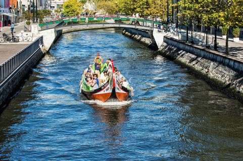 Moliceiro boat travelling on the Central Channel