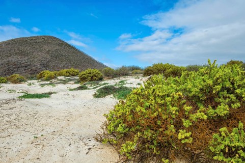 Sandy beach