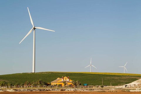 Andalusian country estate in front of a windmill