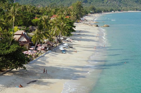 Beach with palm trees