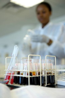 Test tubes with blood samples in the laboratory of the Red Cross blood donation centre