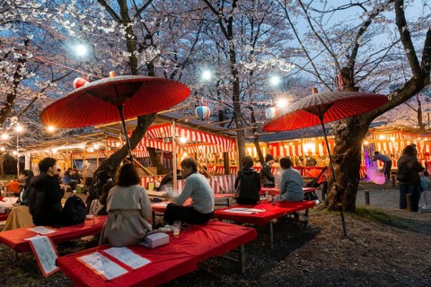Food stalls at the cherry blossom festival