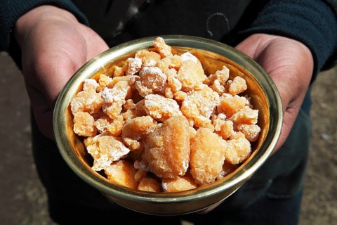 Woman's hands holding a bowl of Eezgii