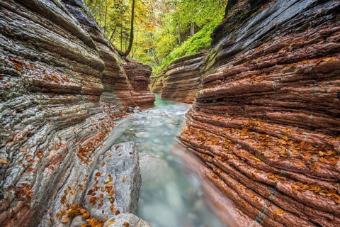 The Taugl river