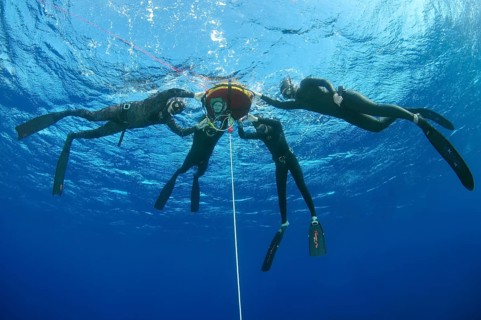 Freedivers