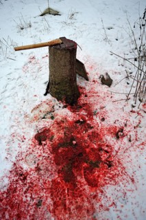 Home slaughtering on a farm