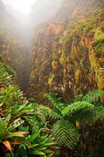 Canyon on La Soufriere volcano