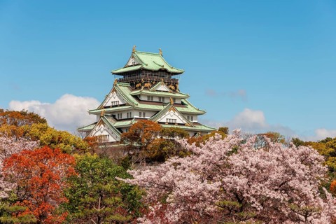 Osaka Castle with flowering cherry trees in the park