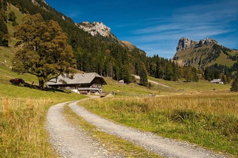 Dirt road leading to a mountain farm