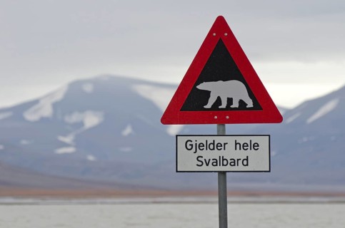 Polar bear warning sign