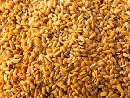 Organic golden linseed