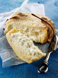 French farm goat cheese or chevre