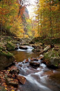 Ilse River in Ilsetal valley in autumn