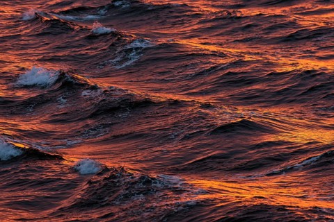 Bow waves in the evening light