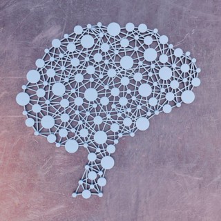 Brain